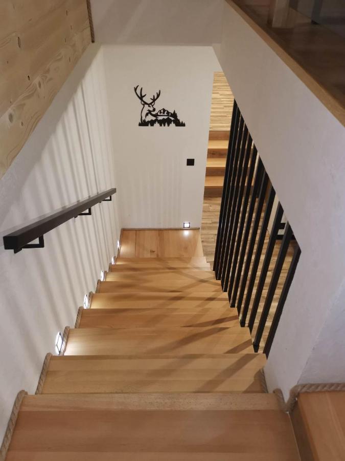 Apartament Skorusinka W Poblizu Chocholowskich Term Witów Exterior foto