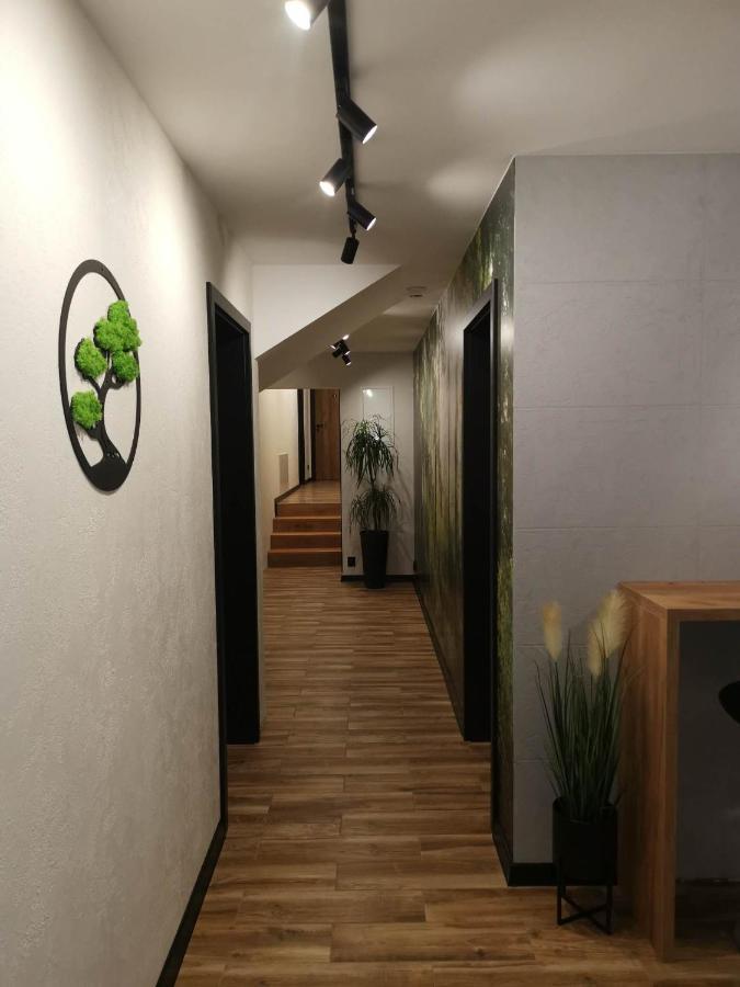 Apartament Skorusinka W Poblizu Chocholowskich Term Witów Exterior foto