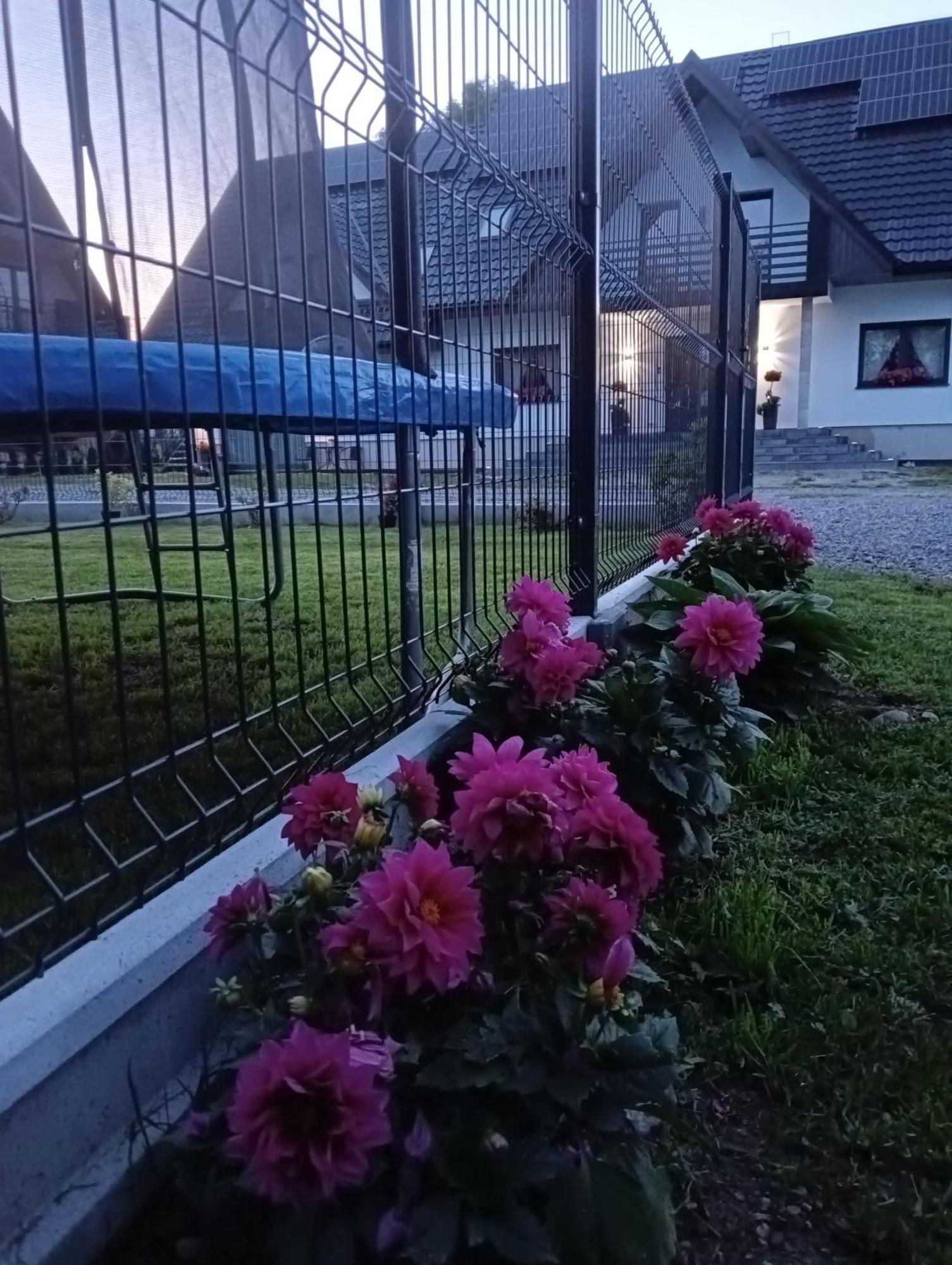 Apartament Skorusinka W Poblizu Chocholowskich Term Witów Exterior foto